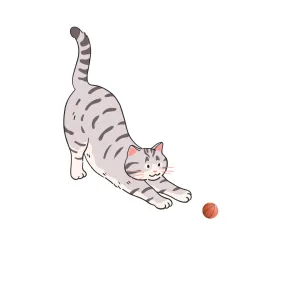 Cat Toy Ball (Interactive)