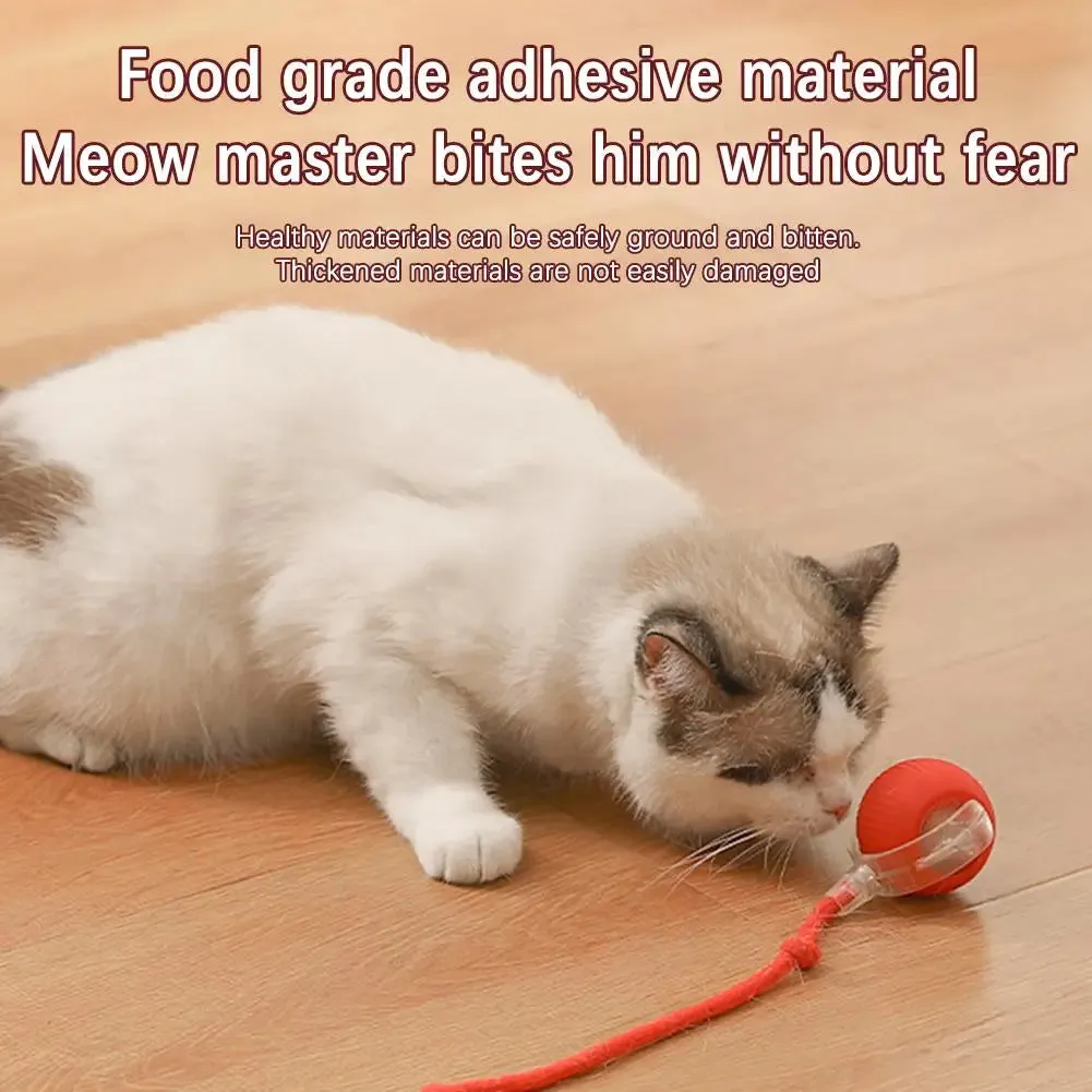 Chirping Motion Cat Ball: Interactive Teaser Toy