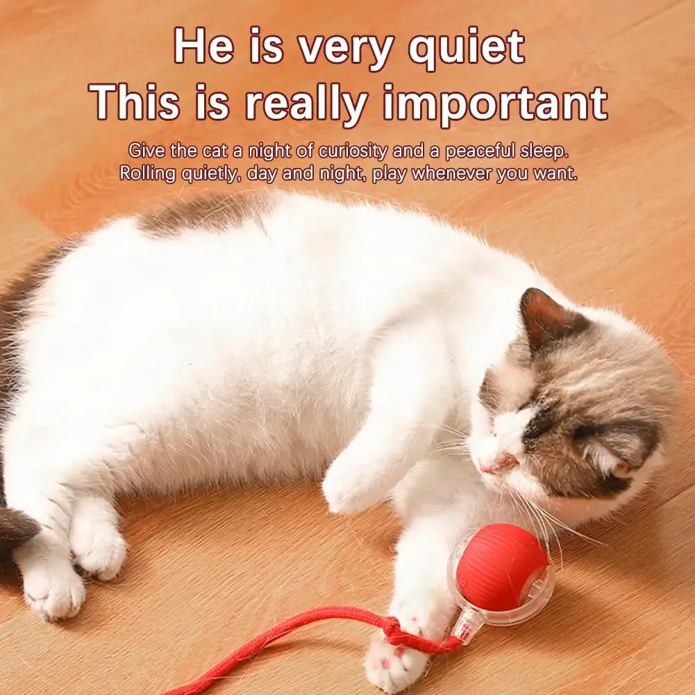 Chirping Motion Cat Ball: Interactive Teaser Toy