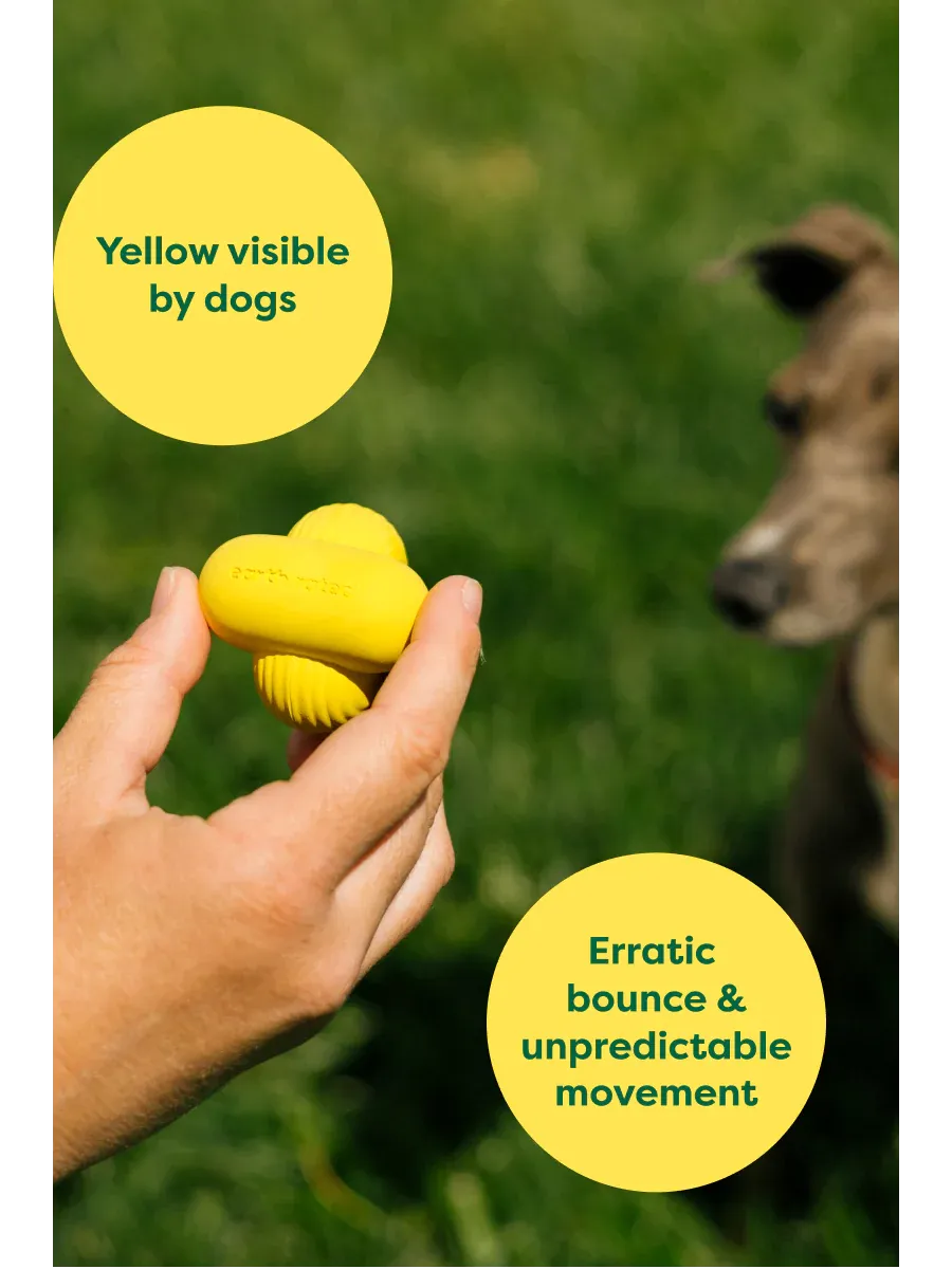 Earth Rated - Fetch Toy (Dog Toy)