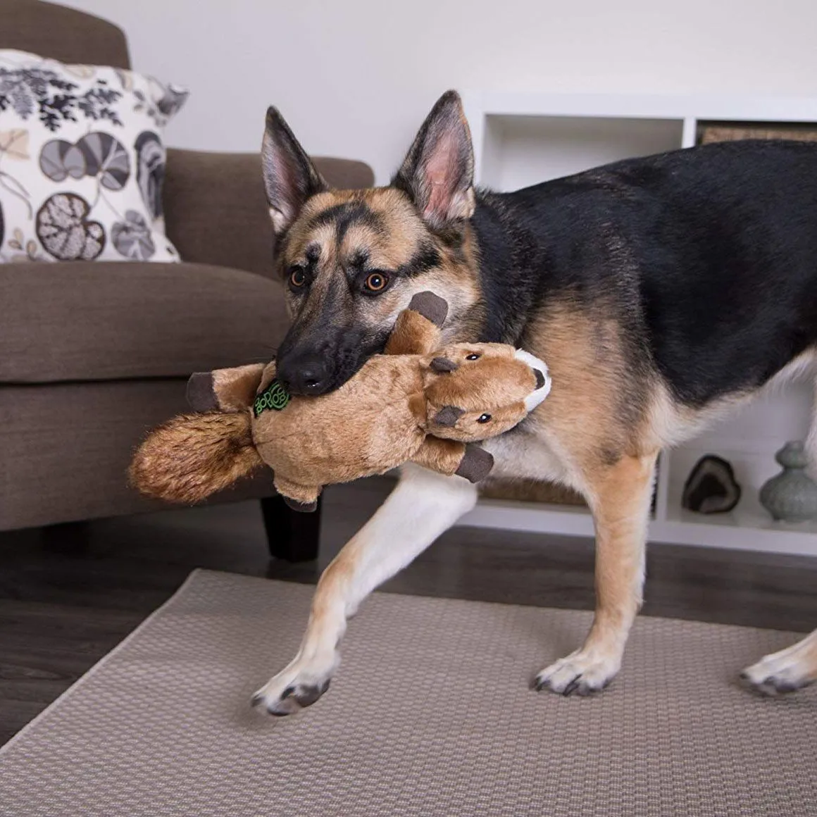 GoDog Flatz Scrappy the Squirrel Dog Toy