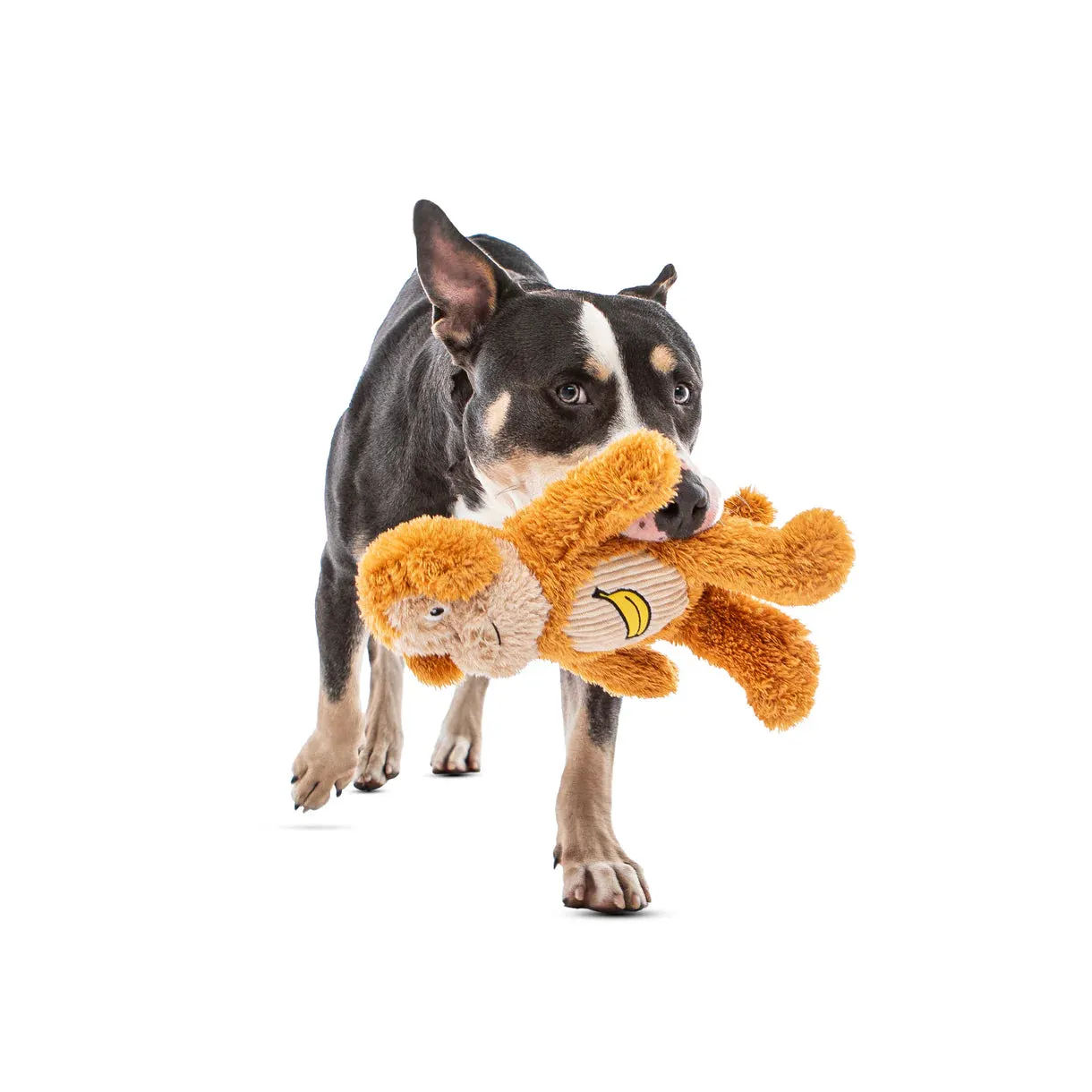 Guru Soft Scents Monkey Dog Toy