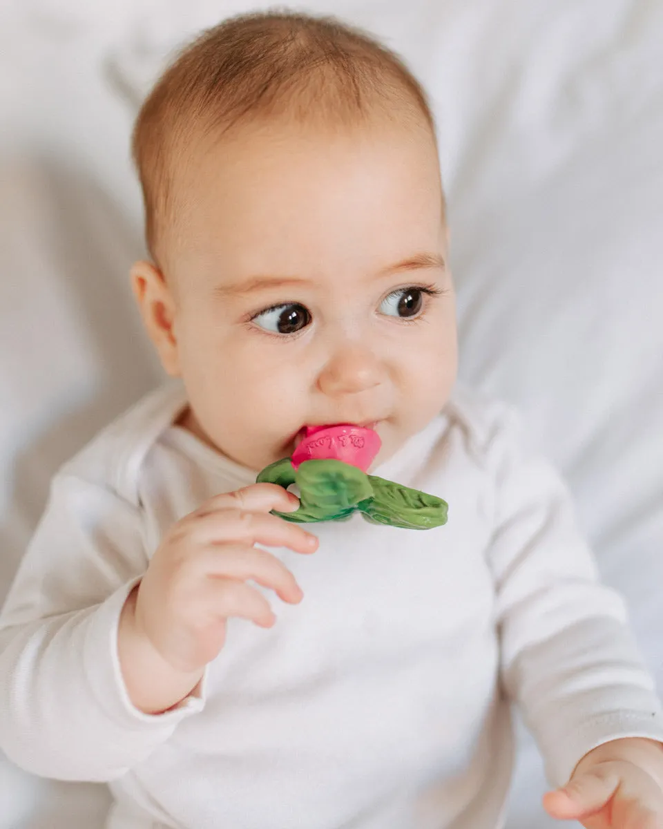 Oli & Carol Chewy-to-Go - Ramonita the Radish