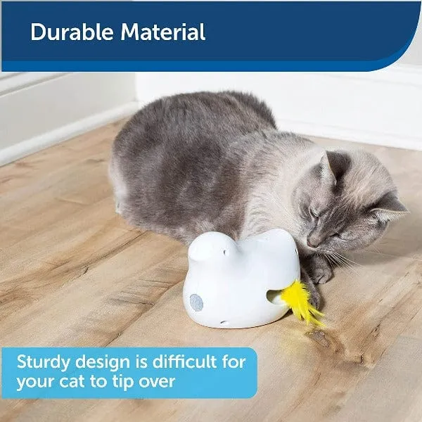 PetSafe Peek-A-Bird Electronic Cat Toy