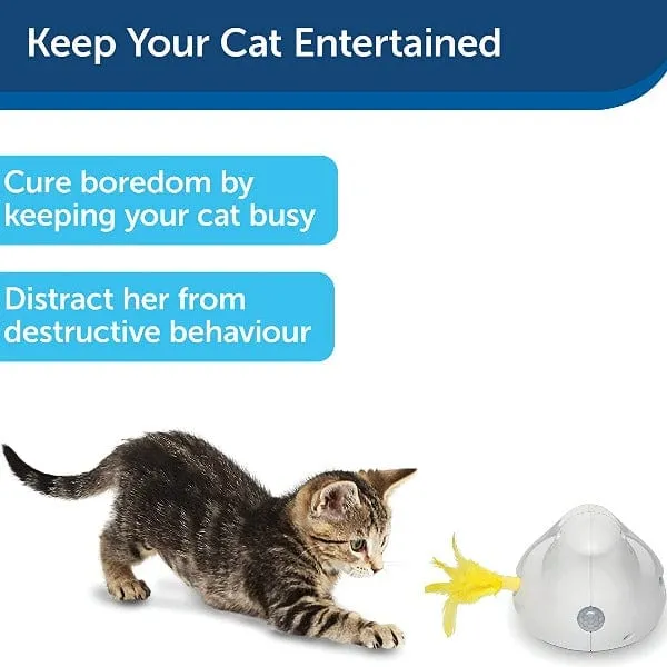 PetSafe Peek-A-Bird Electronic Cat Toy