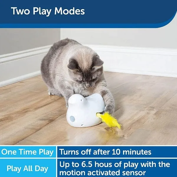 PetSafe Peek-A-Bird Electronic Cat Toy