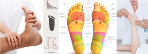 Self-paced Online Home Study 12 CE Foot Reflexology Basics with Advanced Medical Foot Massage