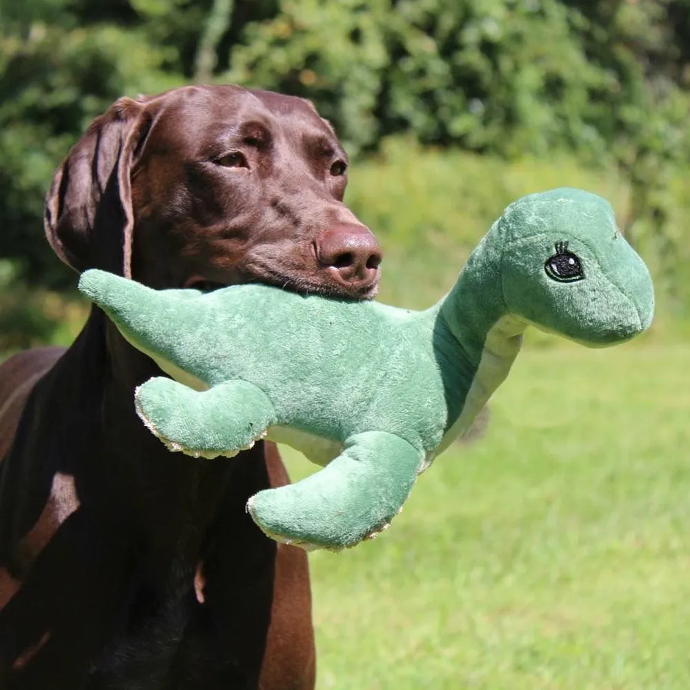 Squeaky Plush Dog Toy: Nessie