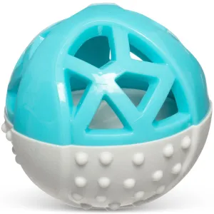 Totally Pooched Catch'n Squeak Rubber Ball Dog Toy (Teal)